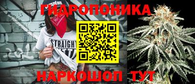 mdpv Партизанск