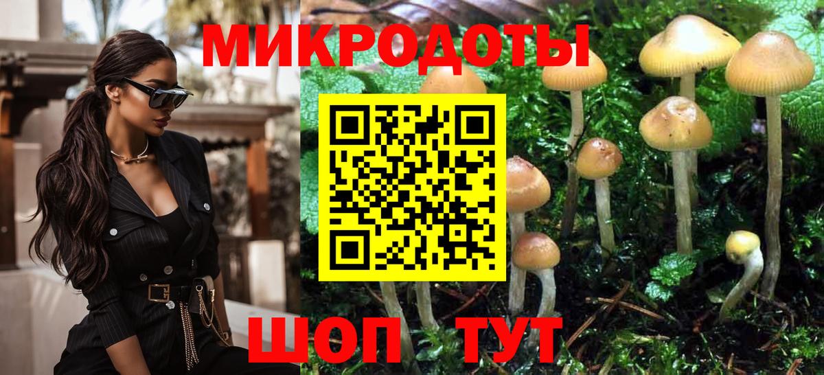 Псилоцибиновые грибы прущие грибы Северск