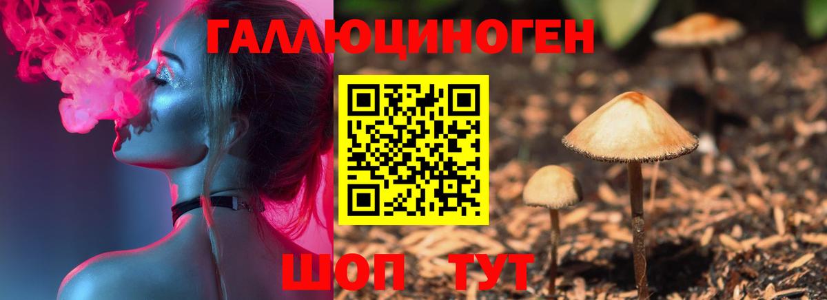 Галлюциногенные грибы мицелий  Вход с VPN  Галлюциногенные грибы Cubensis  Северск 